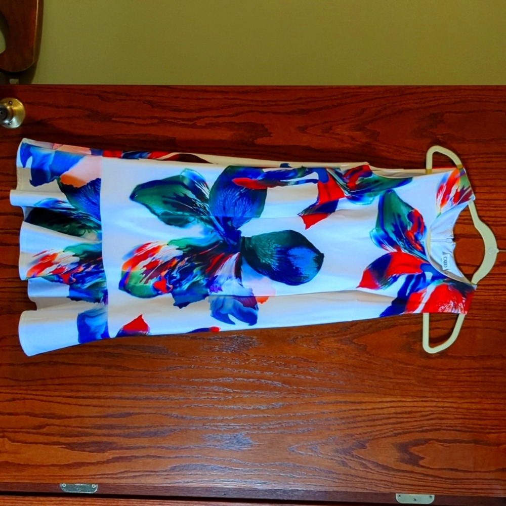 Women's dress